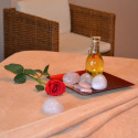 Pink Quartz Ayurveda Balancing Massage